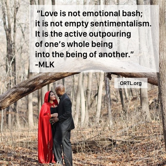 closet closing (taking a hiatus because baby #7) 🪴 - Picture 11 of 11